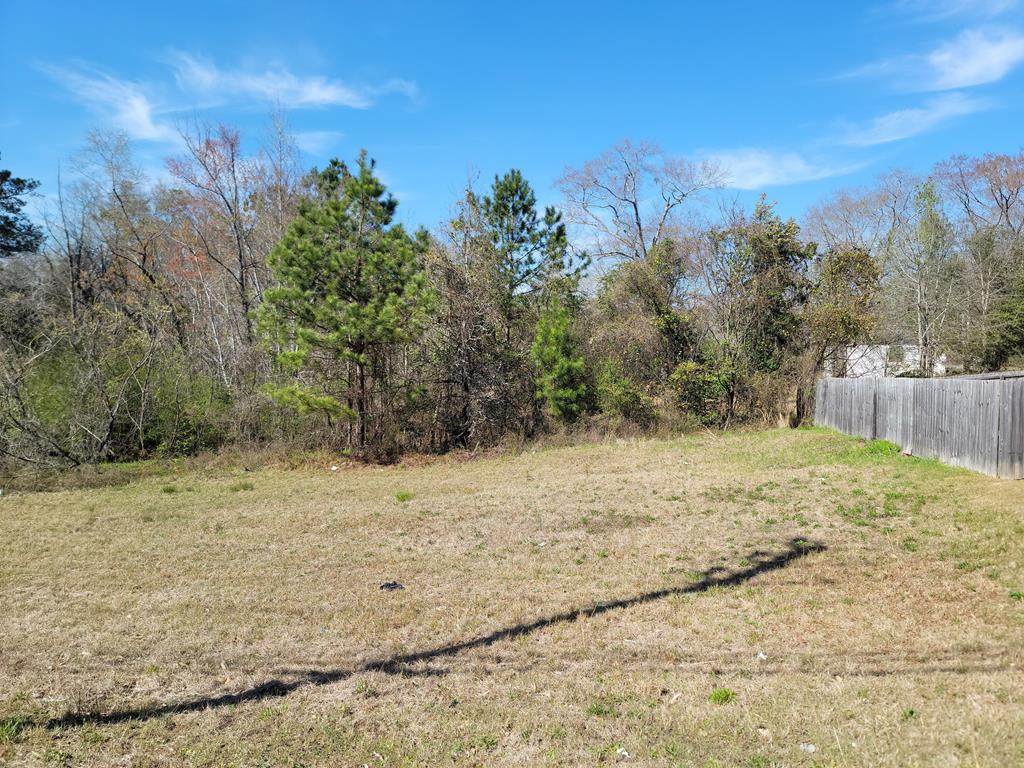 6927 Forrest Road - Photo 1