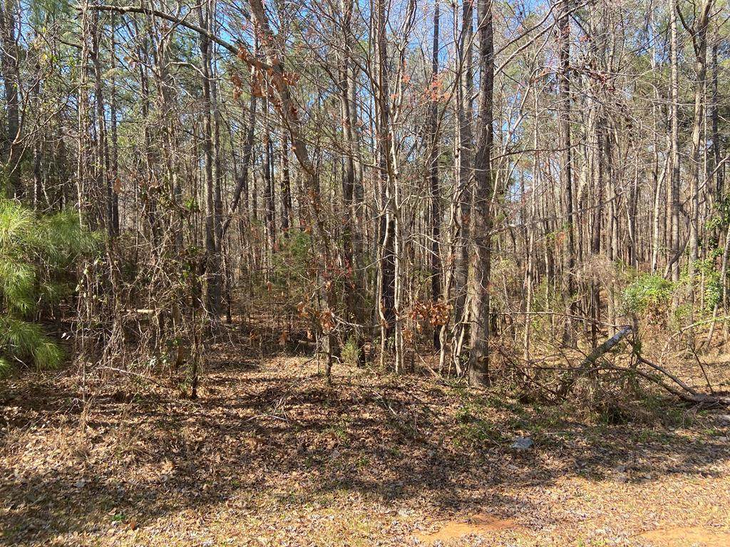 0 Wildwood Plantation - Photo 1