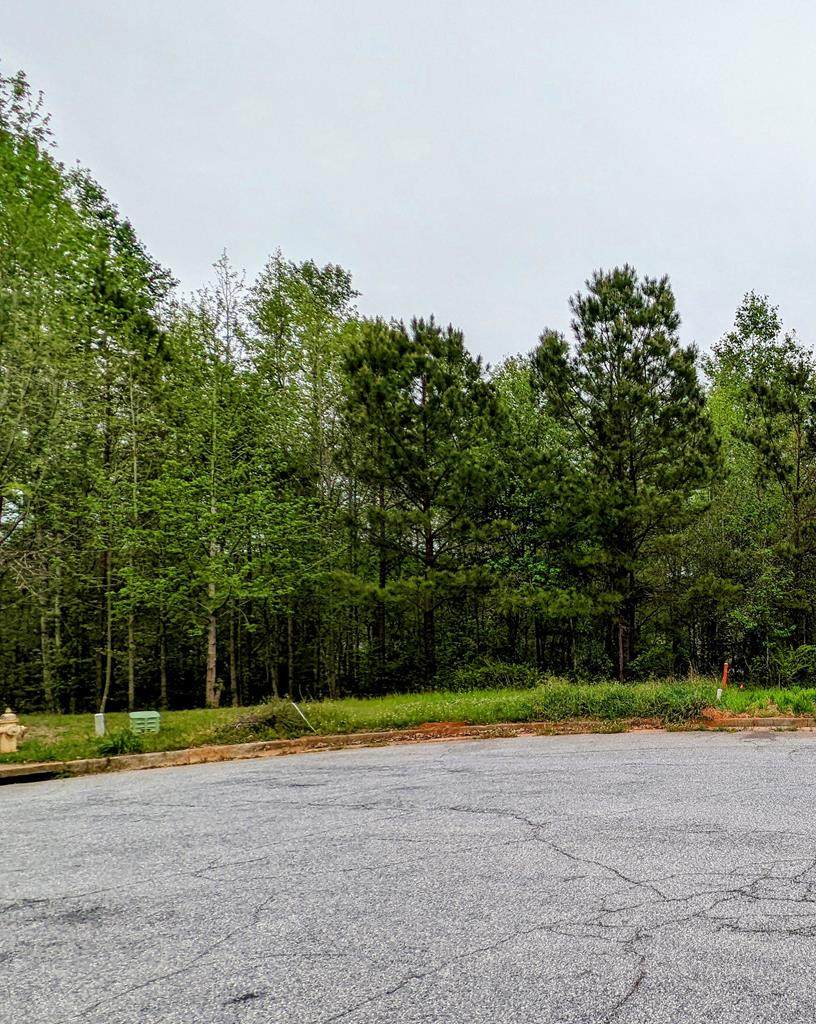 3008 Slippery Rock Court - Photo 1