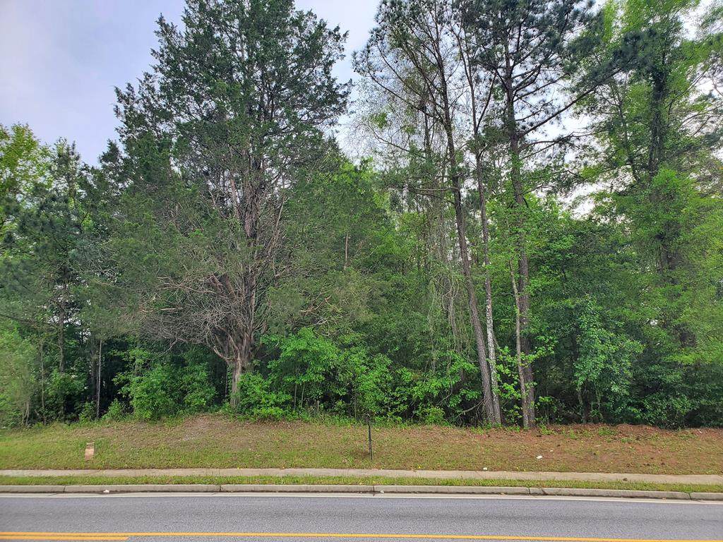 6900 Forrest Road - Photo 1