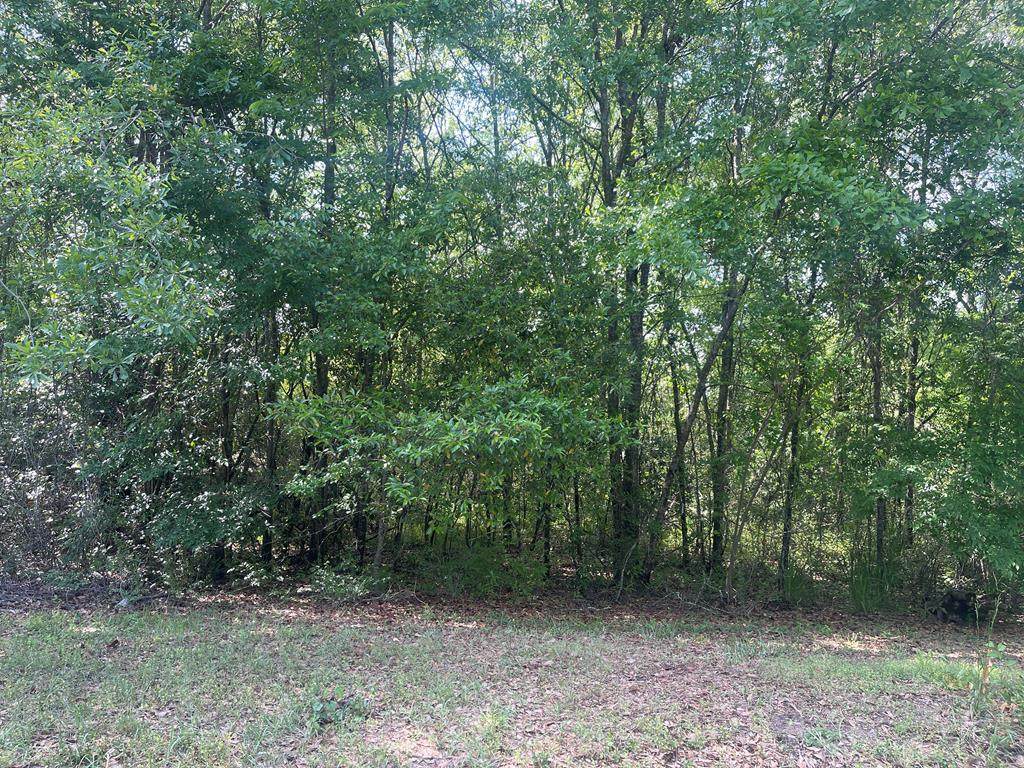 1002 Knowles Road - Photo 1