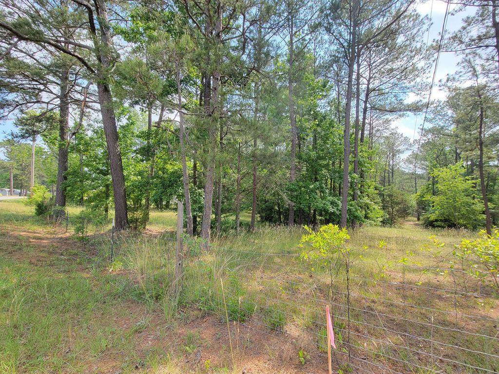 7908 Cooper Creek Road - Photo 1