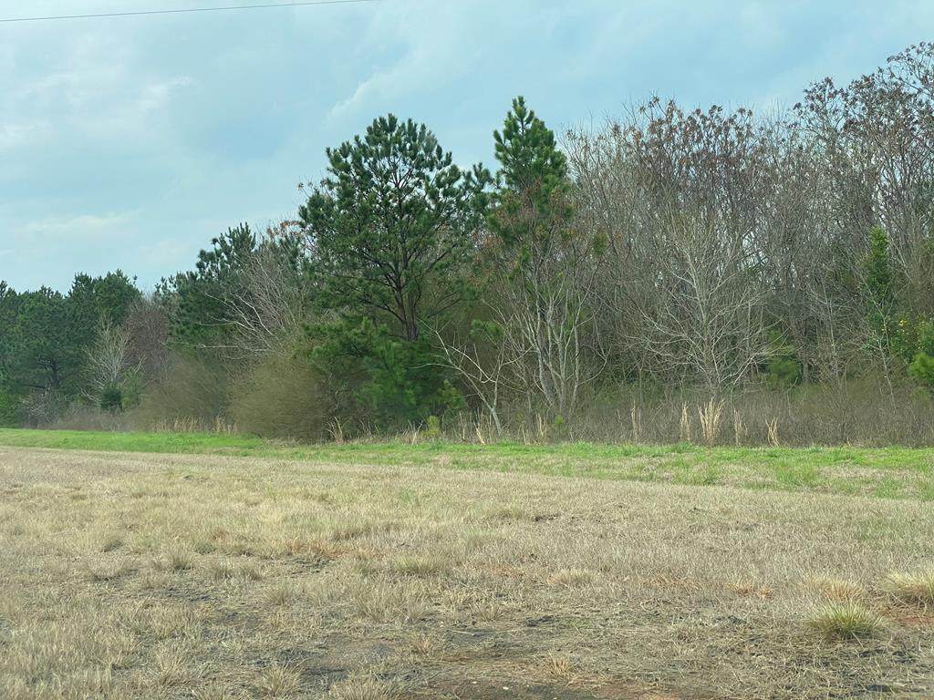 0 Hwy 27 Highway 27 - Photo 1