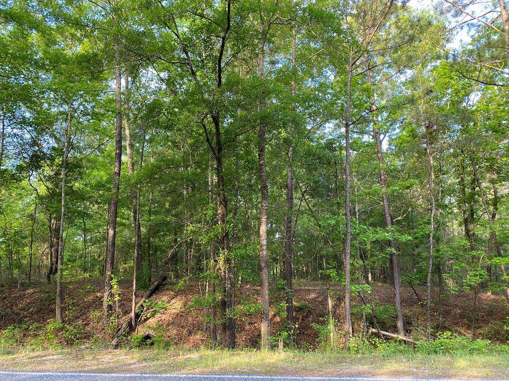 25 Box Springs Spur - Photo 1