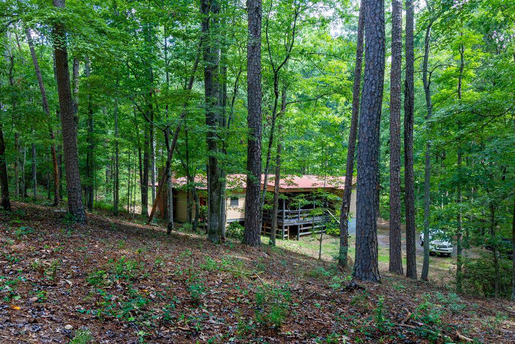 3143 Geneva Highway - Photo 1