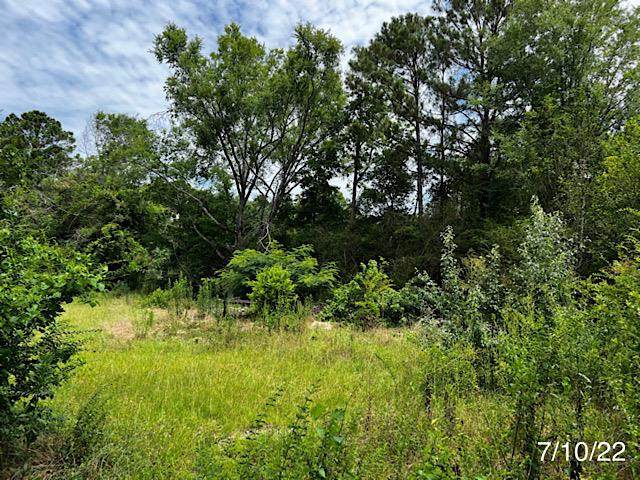 17 Hightower Road - Photo 1