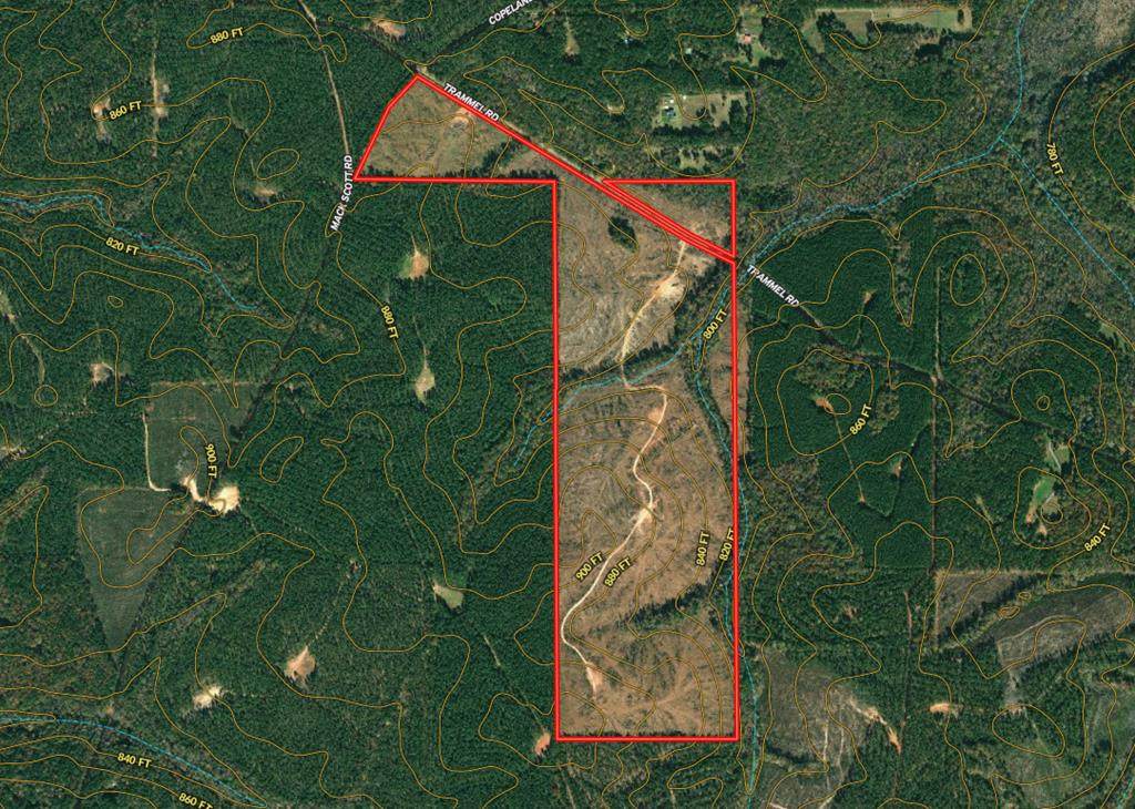 162.38 ac Trammell Road - Photo 1