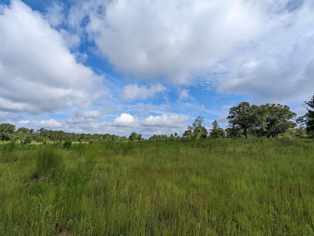 612 Edgar Jones Road - Photo 1