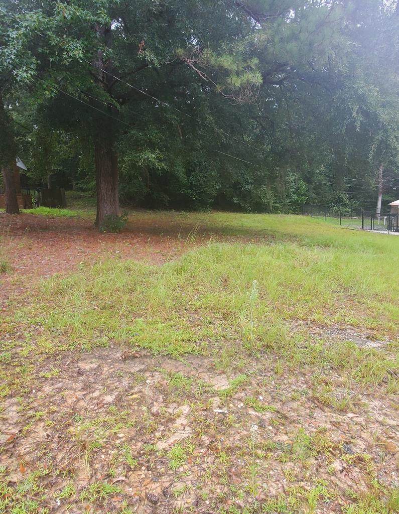 220 R.C. Allen Drive - Photo 1