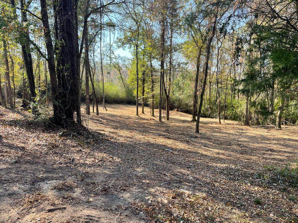 0 River Road - Photo 1