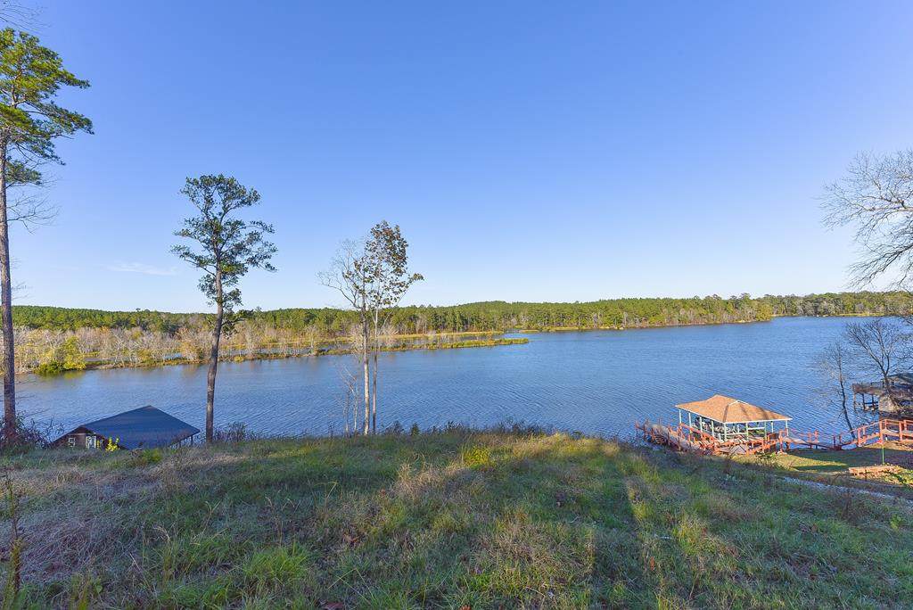 Lot 20 Lee Road 0965 - Photo 1