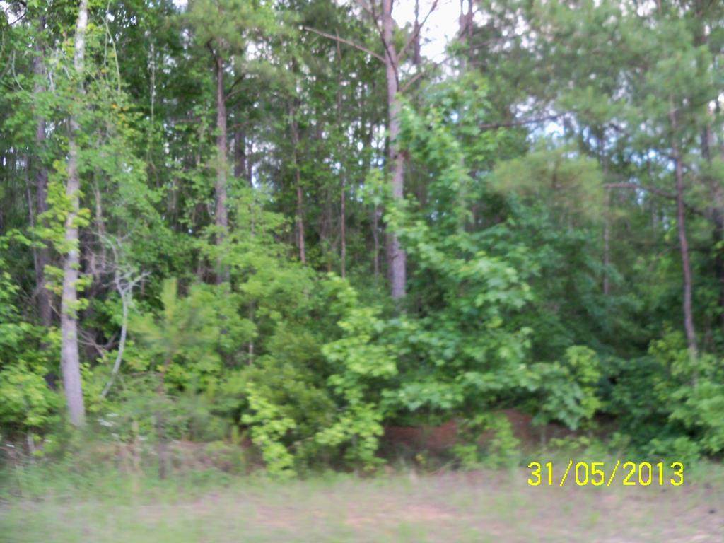0 Old Louvale Road - Photo 1