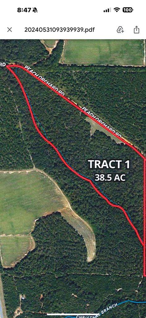 0 Peach Orchard Road - Photo 1