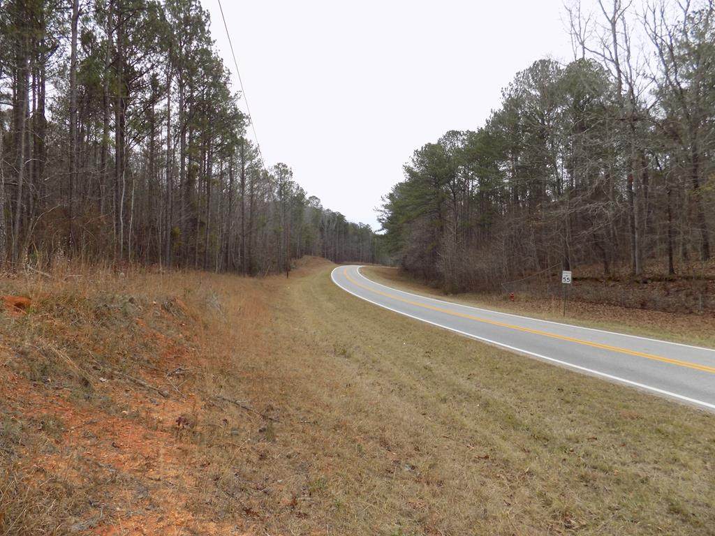 0A Lower Blue Springs Road - Photo 1