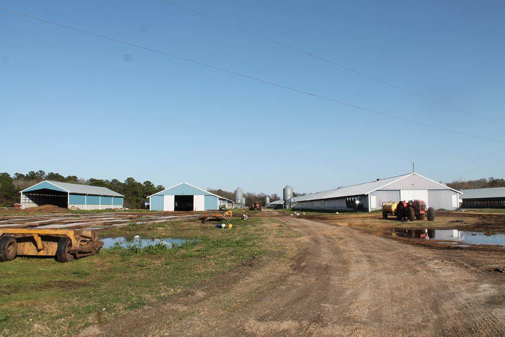 1291 Myron Hart Road - Photo 1