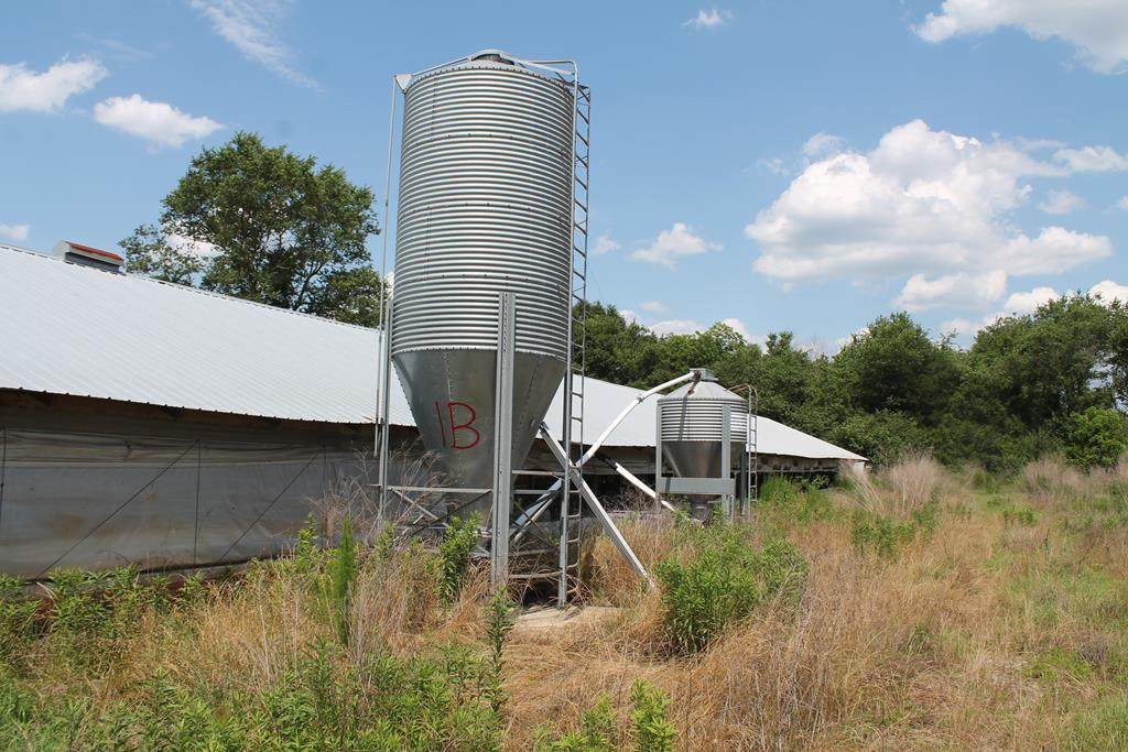 502 Arch Helms Road - Photo 1