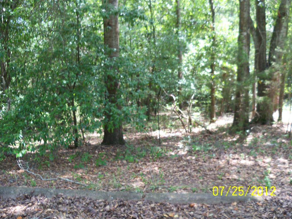 0 Humber Avenue - Photo 1