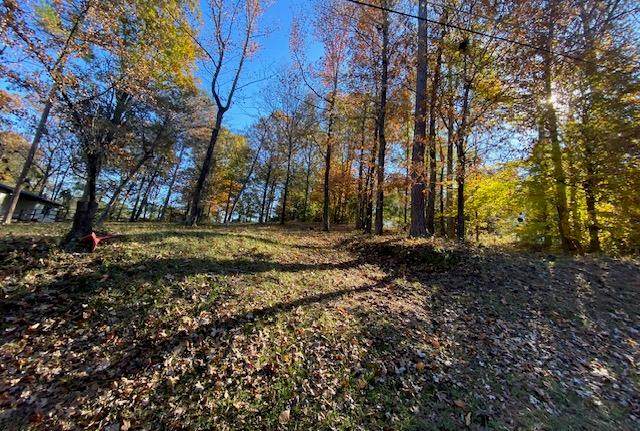 BLK C LOT 13-S 12TH PLACE - Photo 1