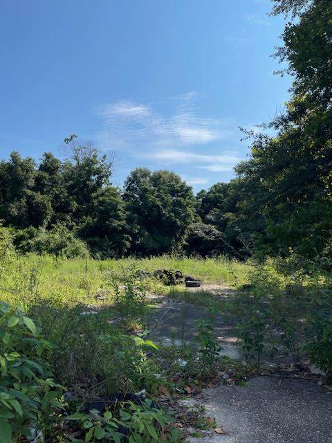 2517 Cusseta Road - Photo 1