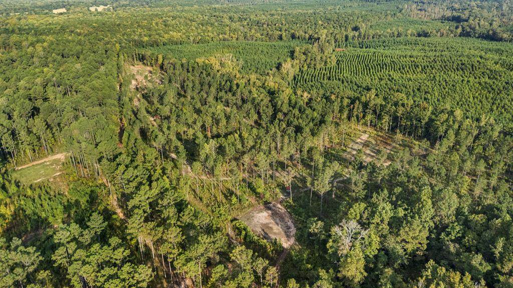 0 County Road 0058 - Photo 1