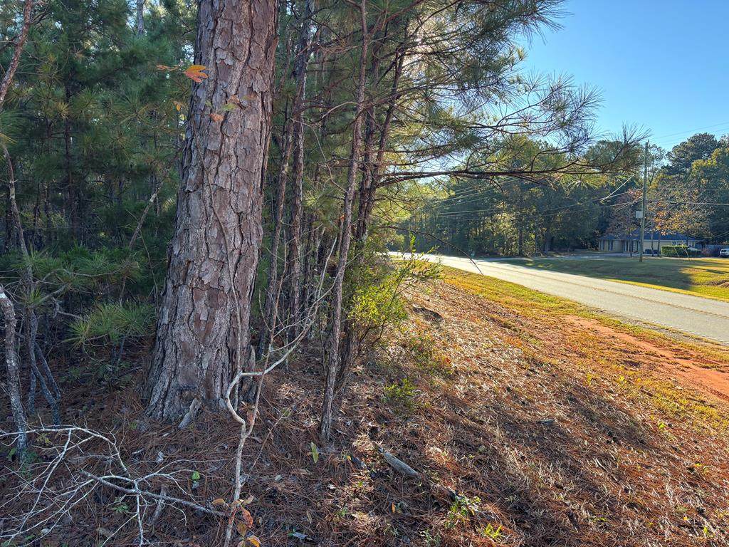 0 Highway 0315 - Photo 1