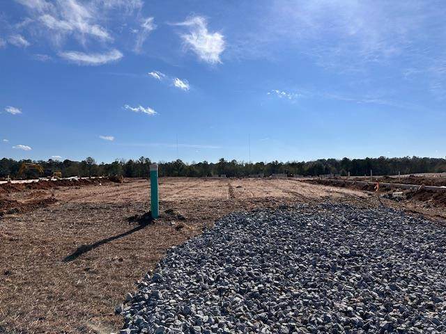 6366 Lemongrass Drive - Photo 1