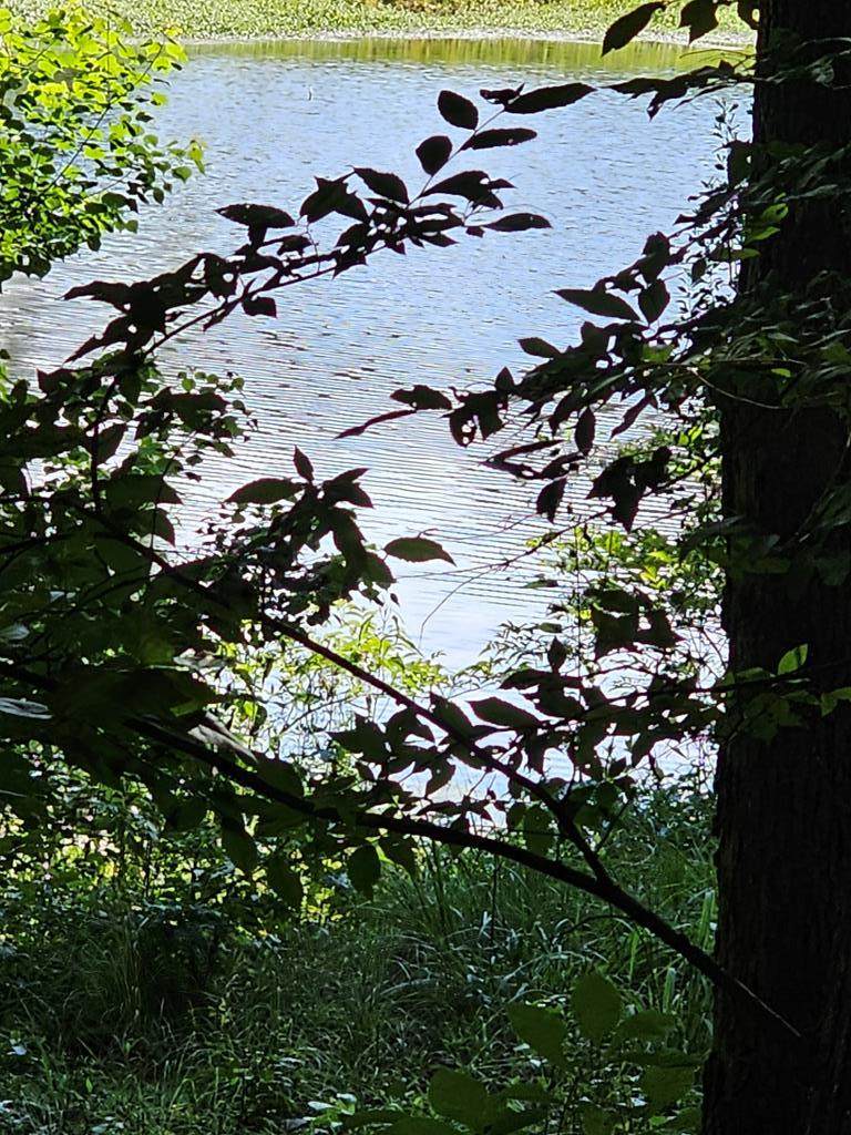 LOT21F Lakeshore Drive - Photo 1