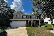 4557 Ivy Patch Drive - Photo 1