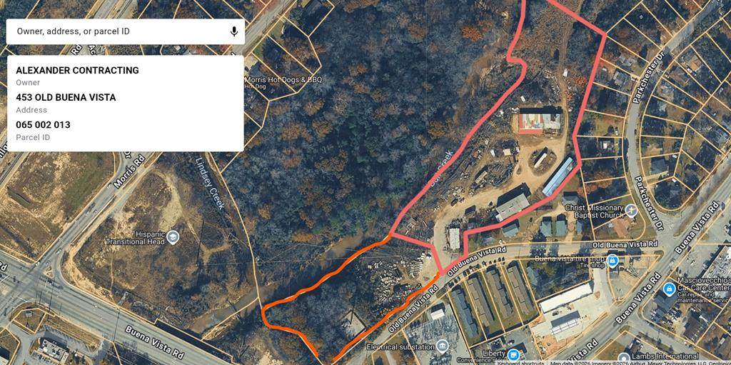 453 Old Buena Vista Rd - Photo 1