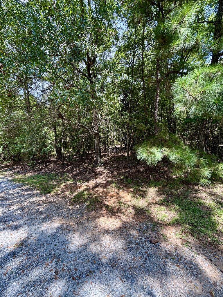 4521 Ottawa Street - Photo 1