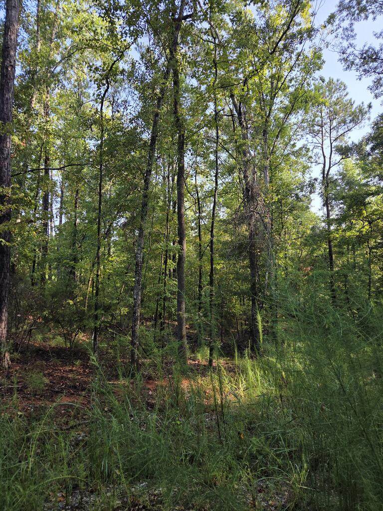 3982 Essex Heights Court - Photo 1