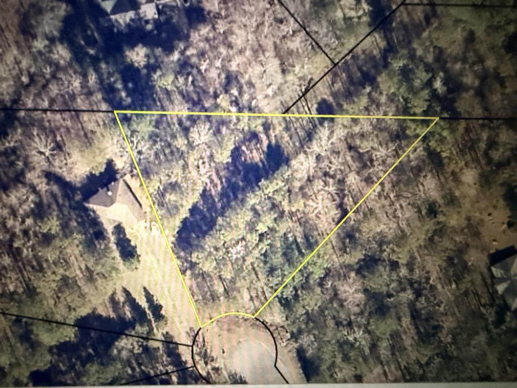 lot 22 Kaitlyn Court - Photo 1
