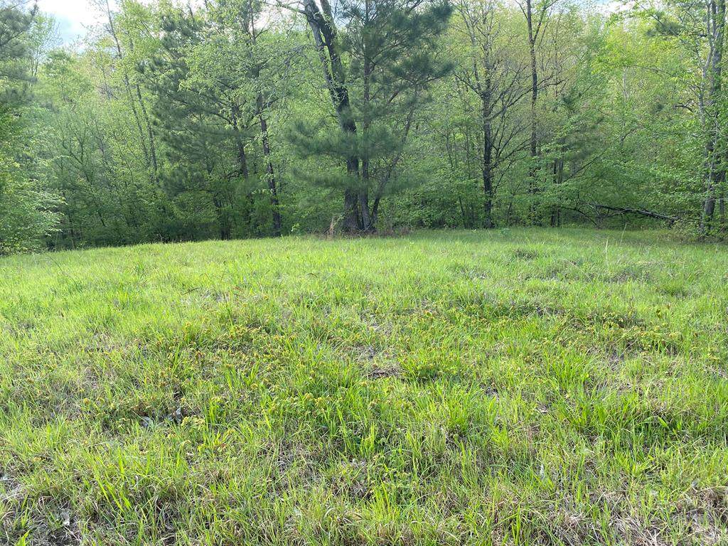 Lot 5 Crestline Drive - Photo 1