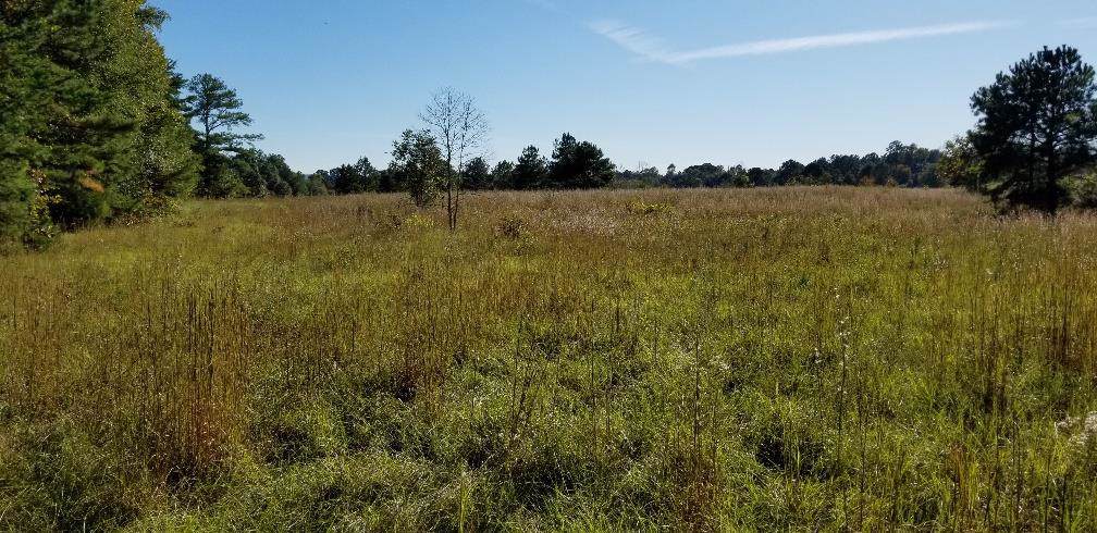 0 Ga Hwy 018 - Photo 1