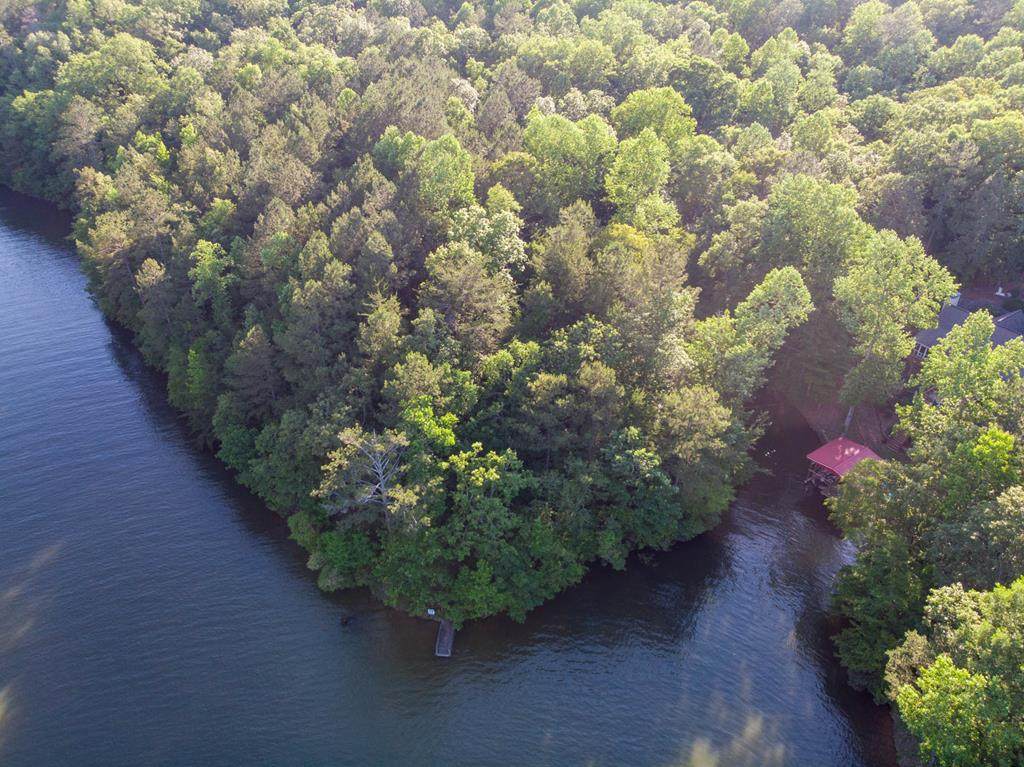 0 Wedowee Creek View Drive - Photo 1
