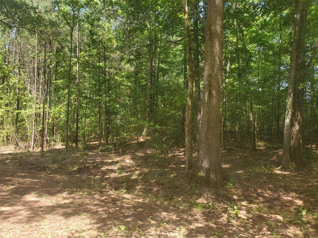 Lot 12 Deer Ridge Drive - Photo 1