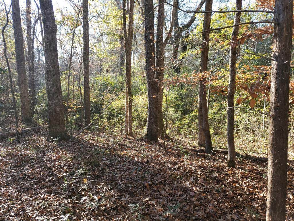 Lot 13 Deer Ridge Drive - Photo 1