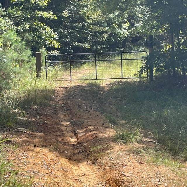 2793 acres Lackey Road - Photo 1