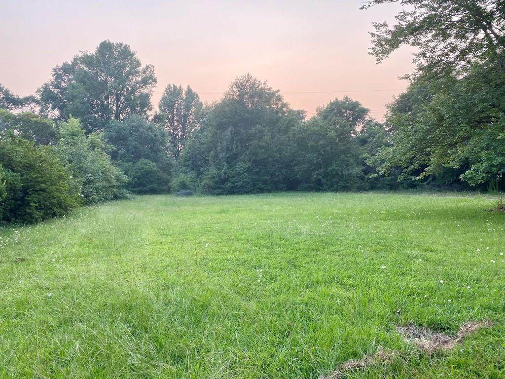 1250 Lafayette Parkway - Photo 1