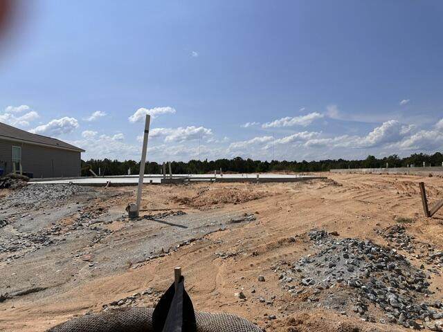 6304 Lemongrass Drive - Photo 1