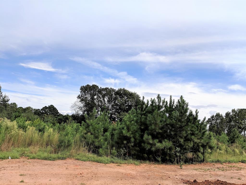Lot 21 County Line Road - Photo 1