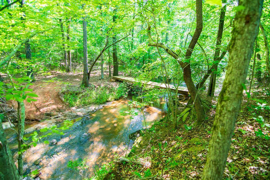 0 Barnes Mill Road - Photo 1