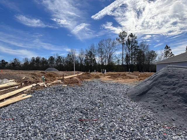 6307 Morning Dew Drive - Photo 1