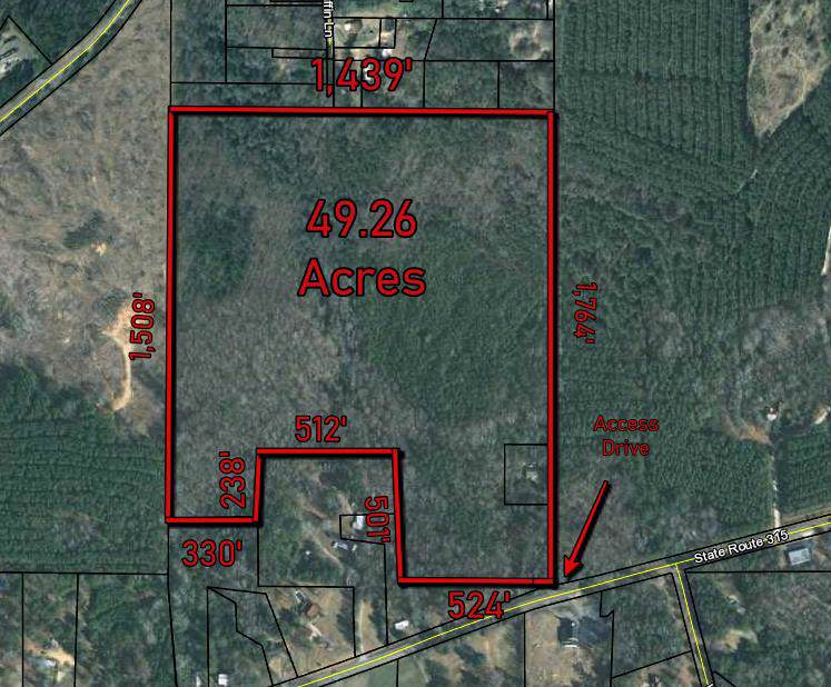 13145 Ga Hwy 315 - Photo 1