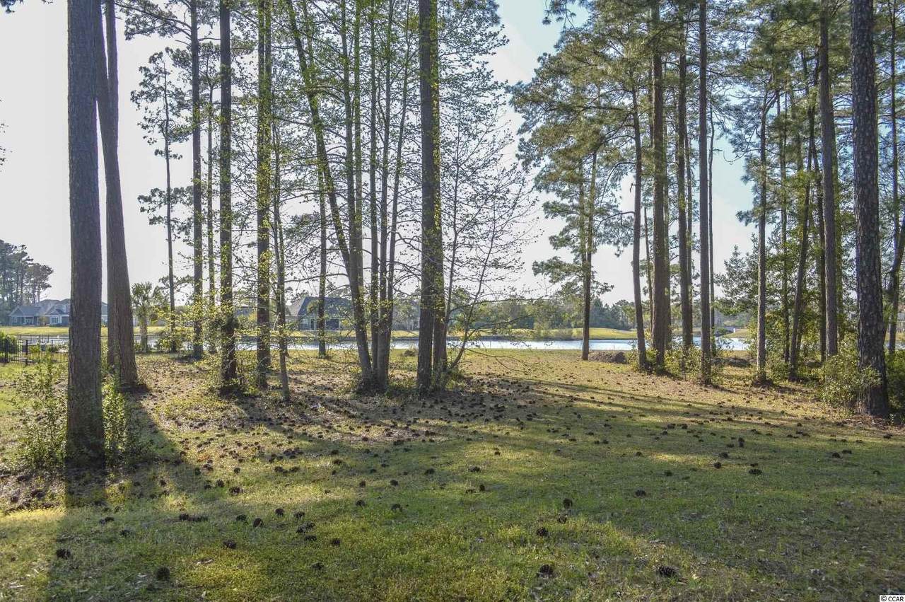 1435 Whooping Crane Dr. - Photo 1