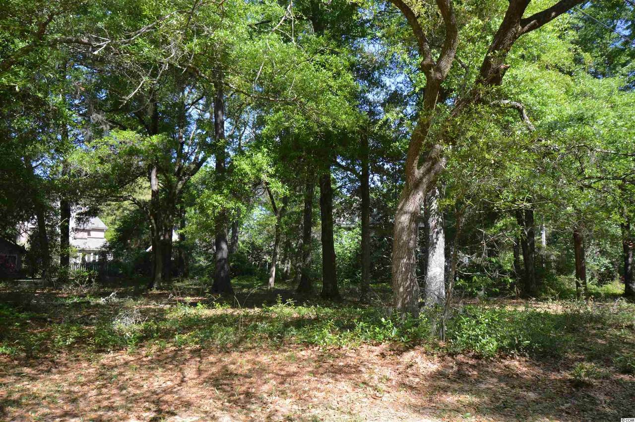 Lot 6 Emerson Loop - Photo 1
