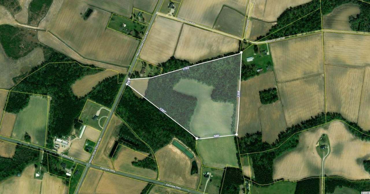 TBD2 Mount Olive Church Rd. - Photo 1