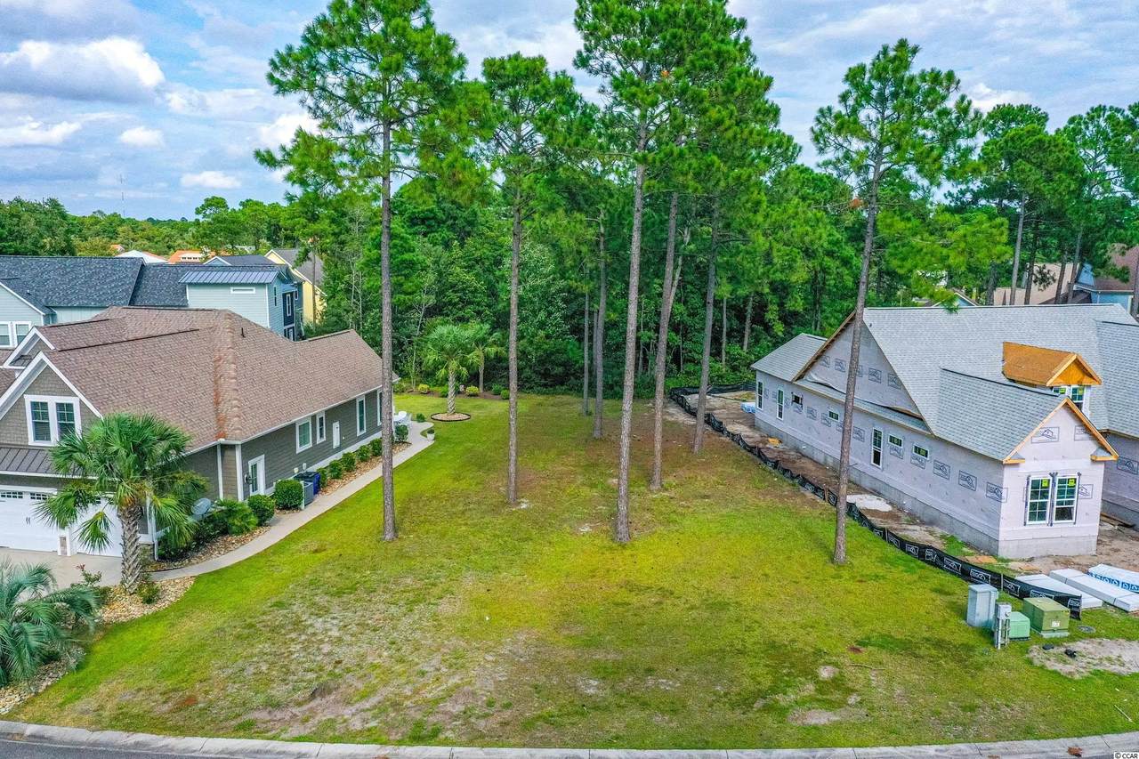 1066 Fiddlehead Way - Photo 1