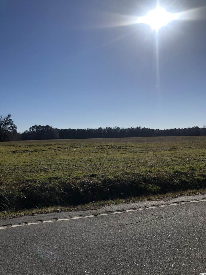 Lot 14 Mitchell Swamp Rd. - Photo 1