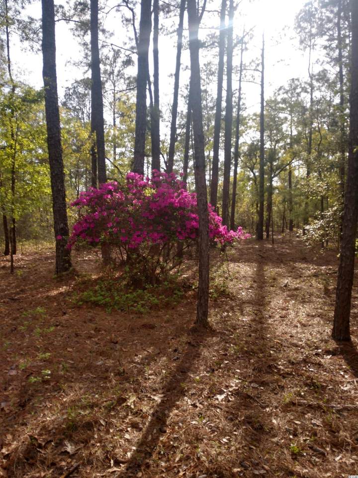 2304 Bb Watson Rd. - Photo 1
